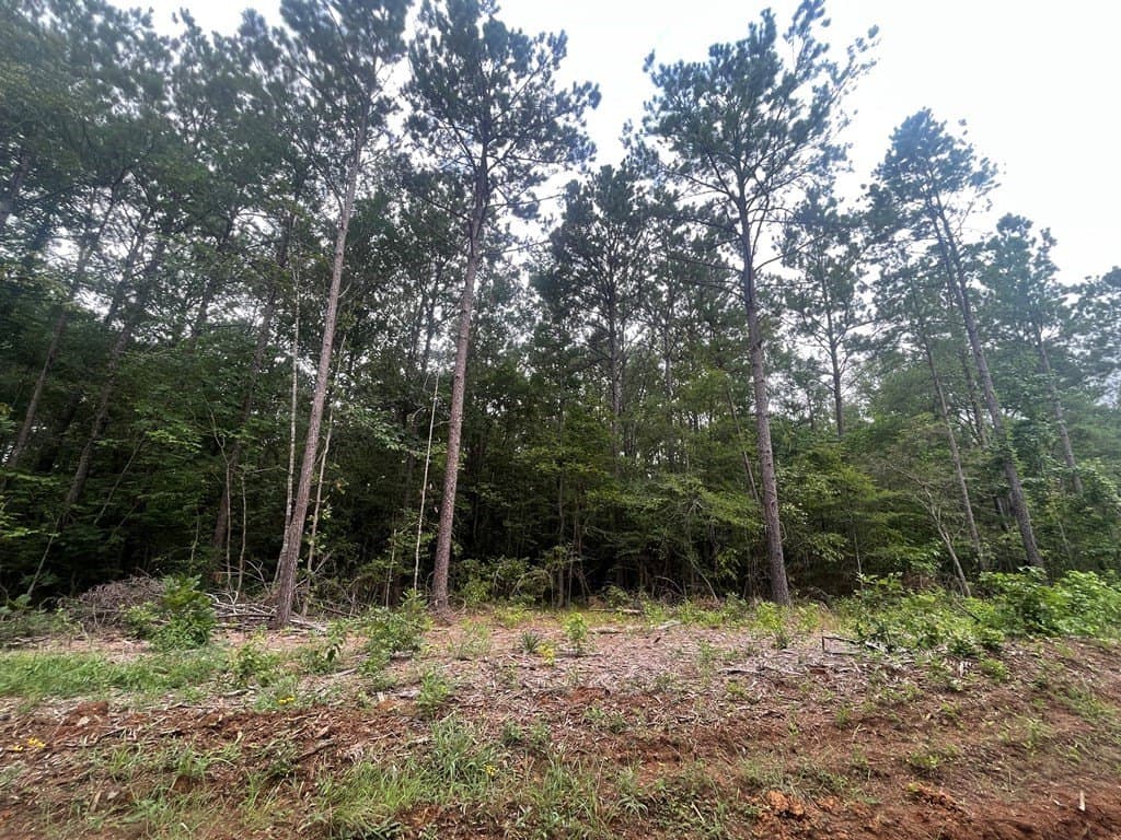 16.74 acres in Texas County - photo 4