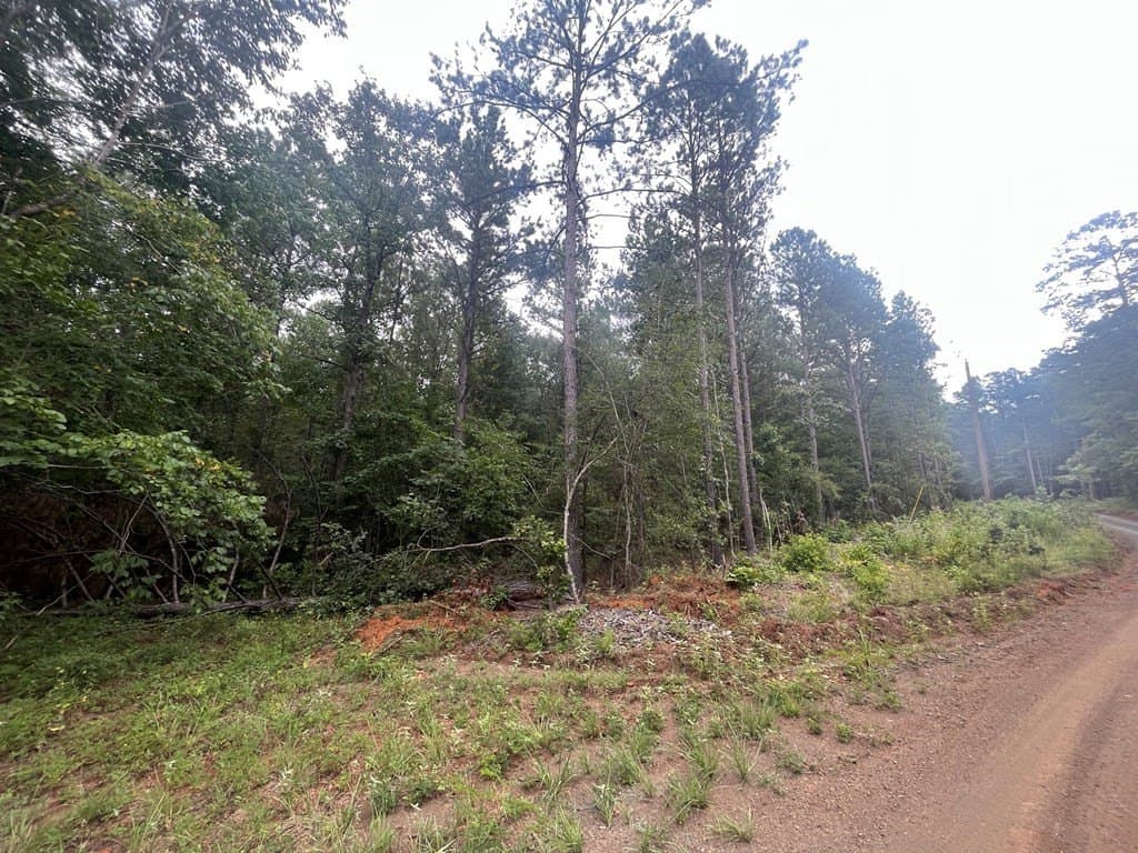 16.74 acres in Texas County - photo 2