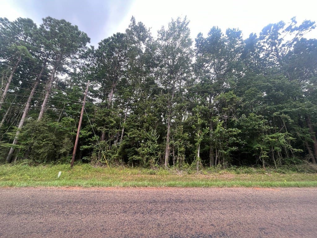 16.74 acres in Texas County - photo 8