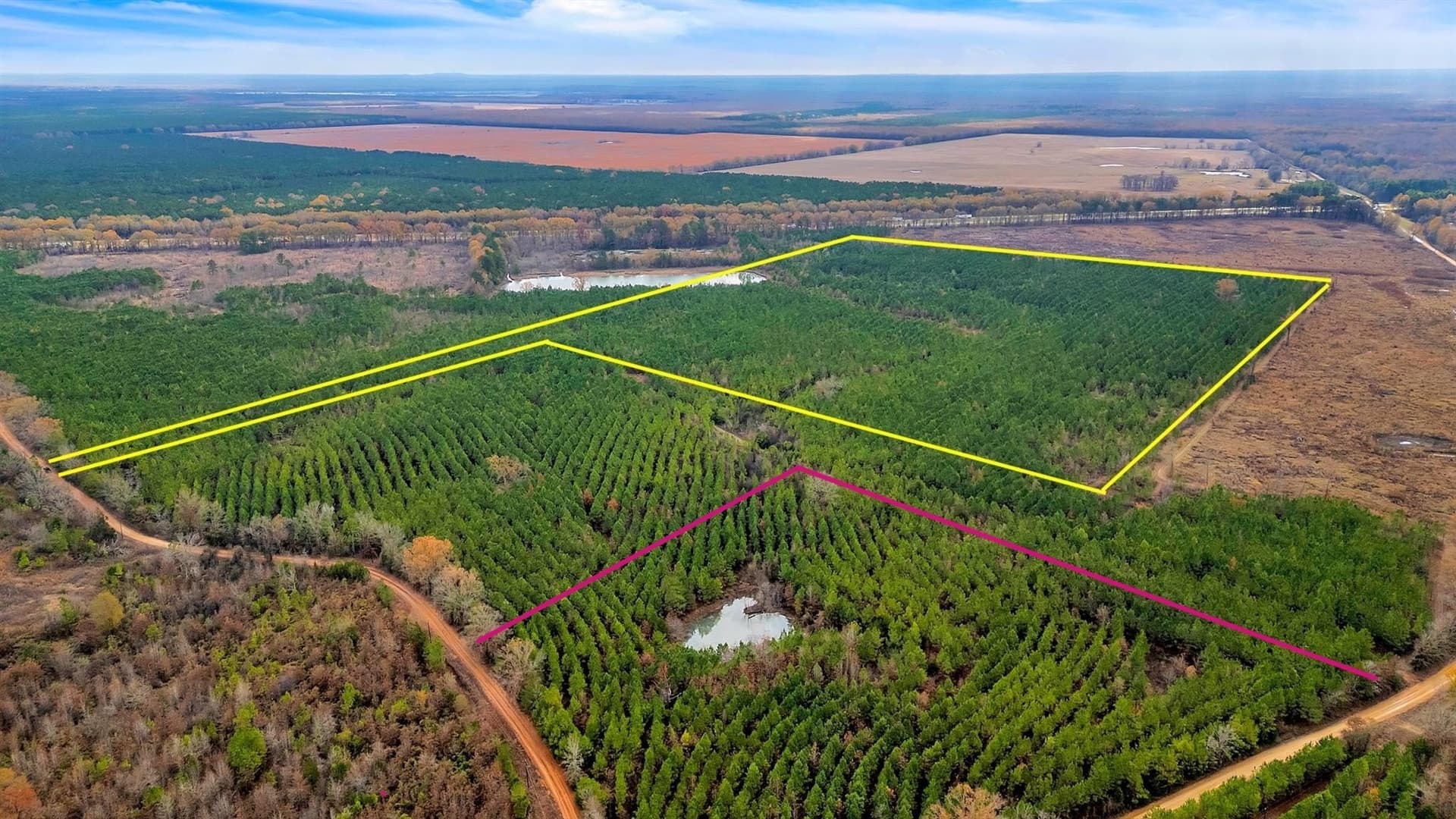 15 acres in Bowie County - photo 3
