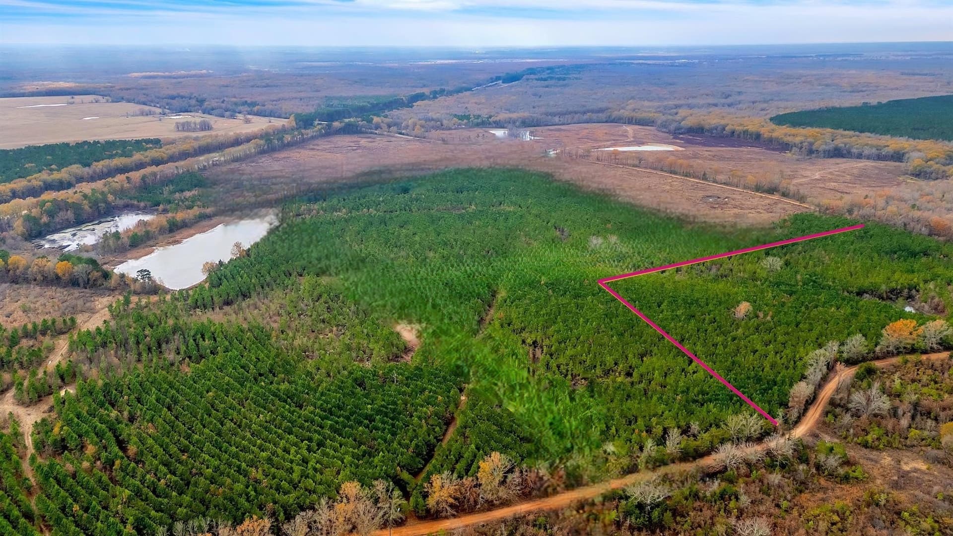 15 acres in Bowie County