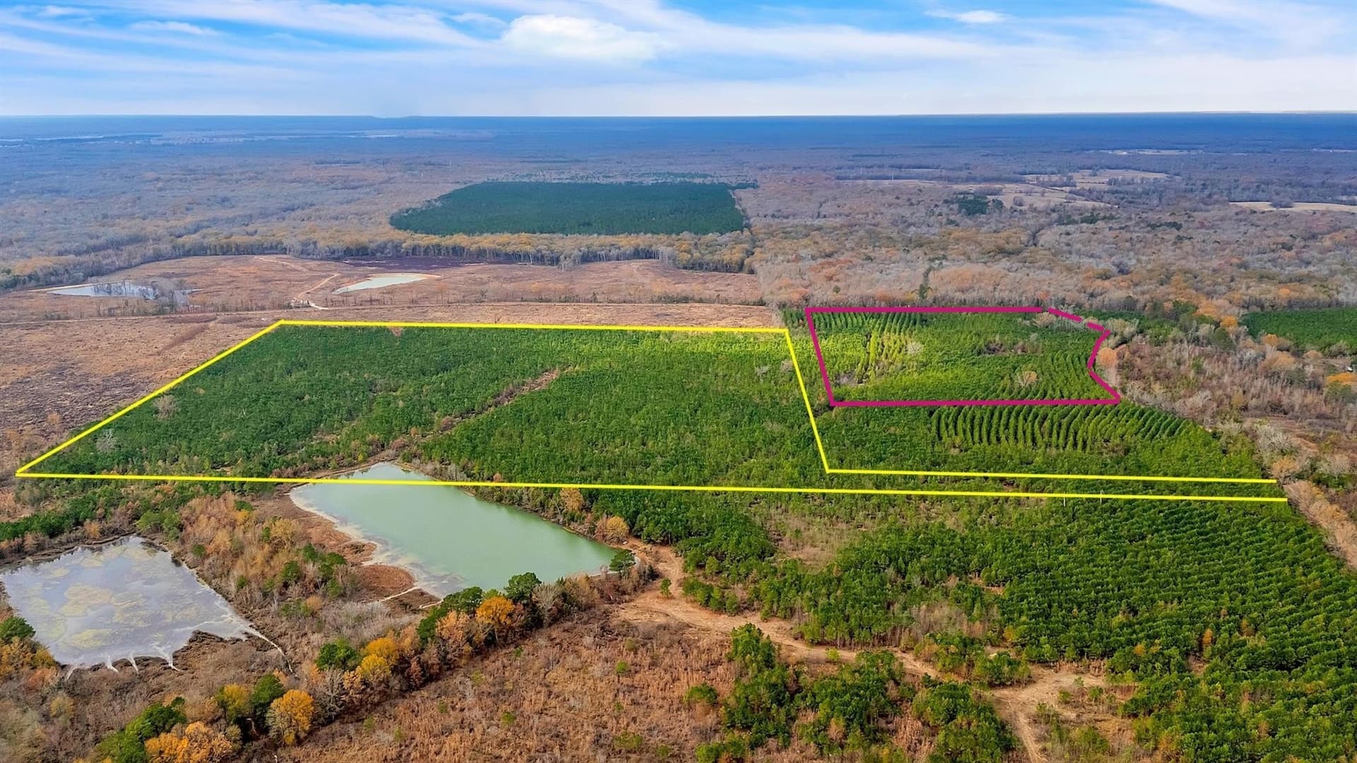 15 acres in Bowie County - photo 2