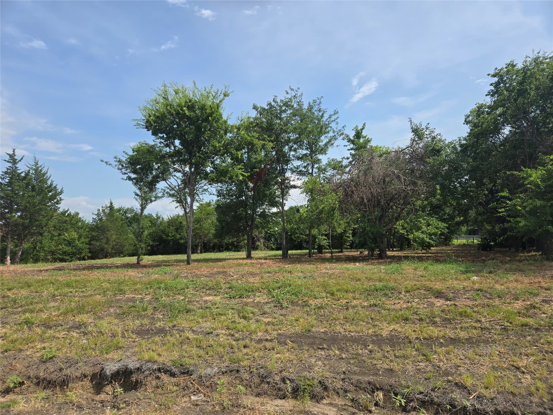 0.12 acres in Cooke County gallery image 4