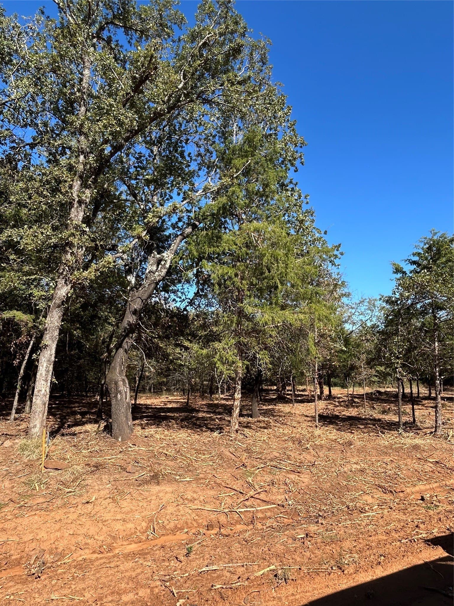0.12 acres in Cooke County - photo 24