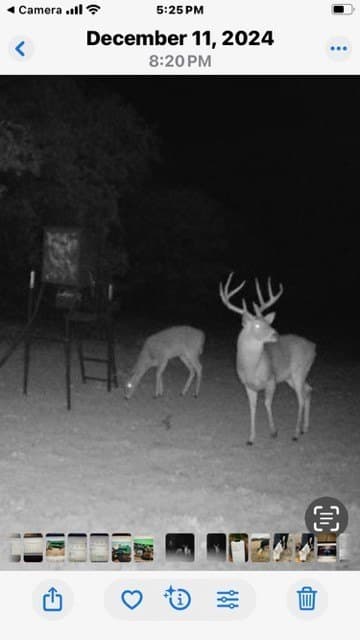 33.6 acres in Cooke County - photo 20