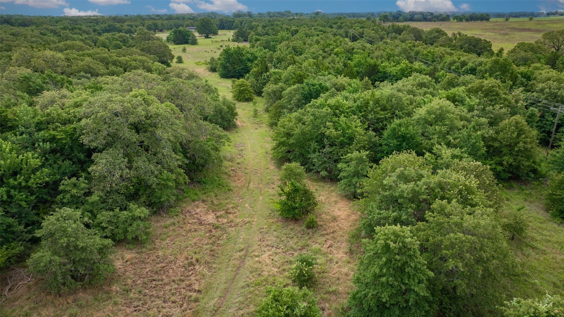 33.6 acres in Cooke County gallery image 3
