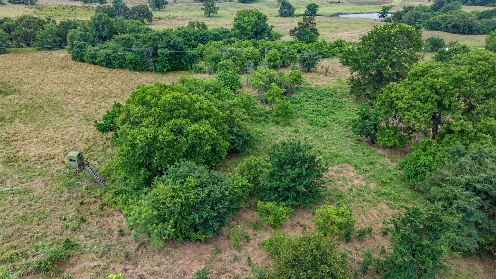 33.6 acres in Cooke County - photo 11