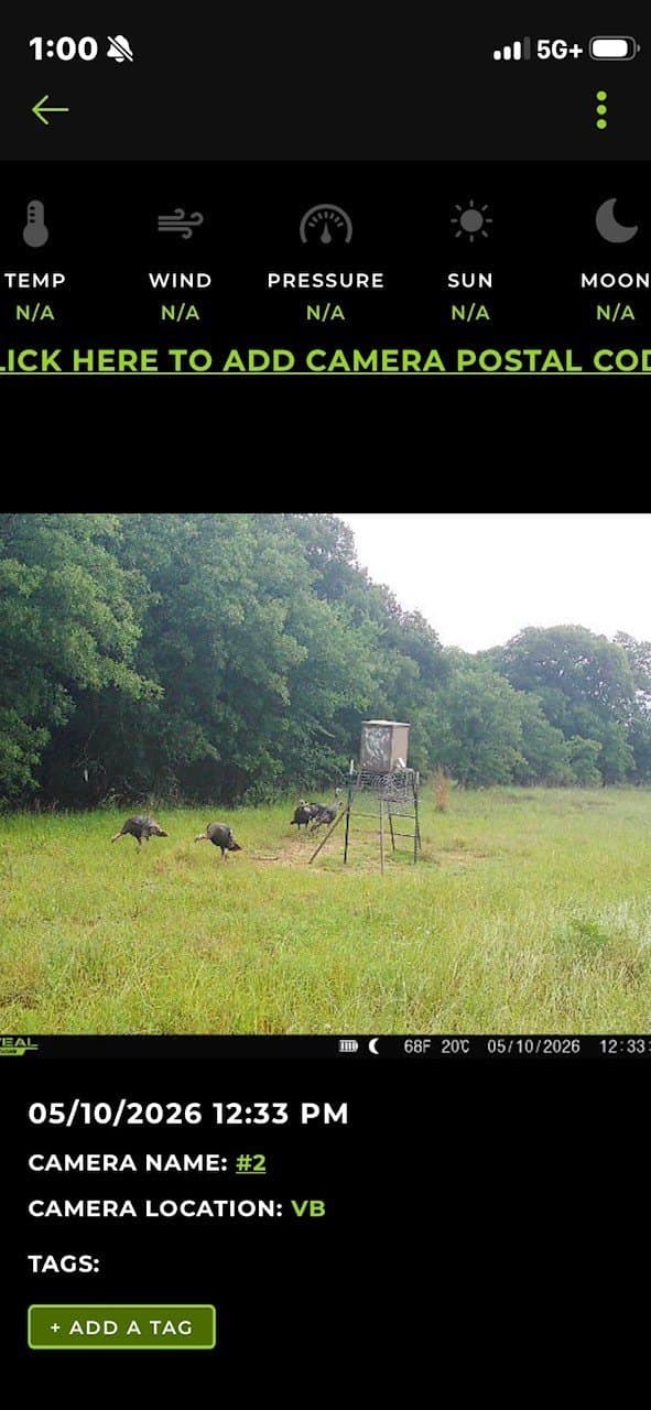 33.6 acres in Cooke County - photo 9