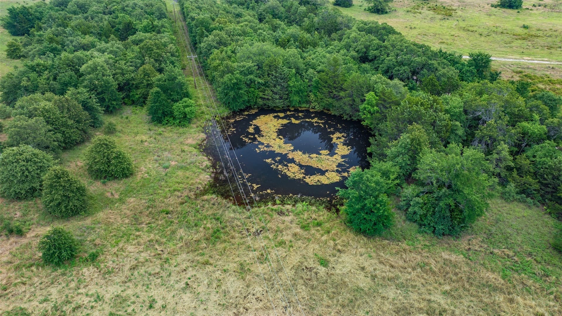 33.6 acres in Cooke County featured view