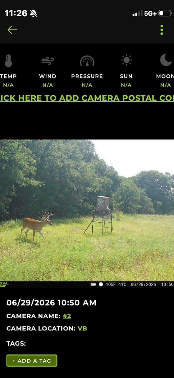 33.6 acres in Cooke County - photo 6