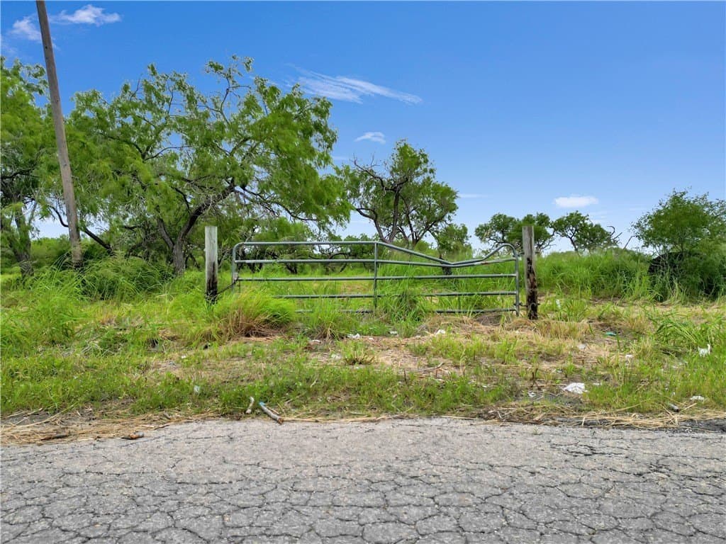 10 acres in San Patricio County - photo 6