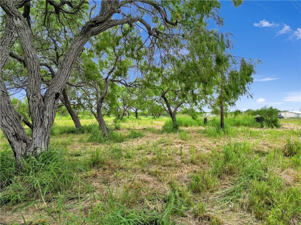 10 acres in San Patricio County - photo 7