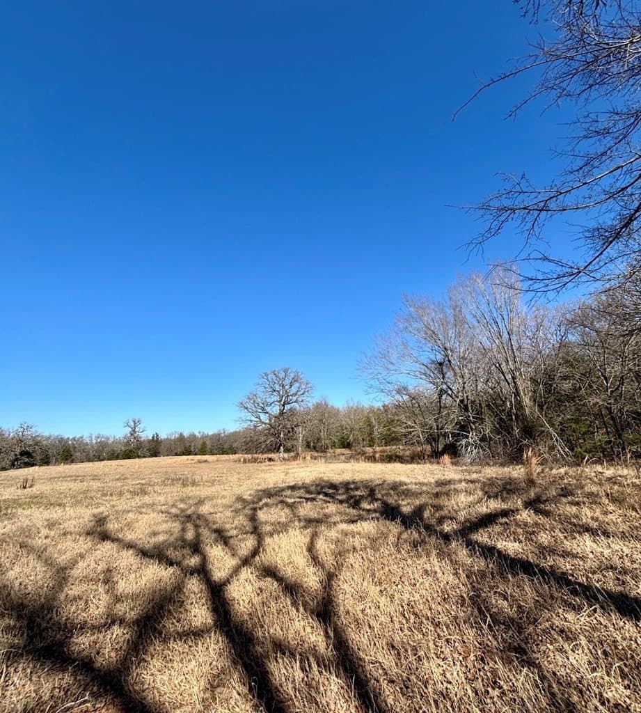 13.59 acres in Henderson County featured view