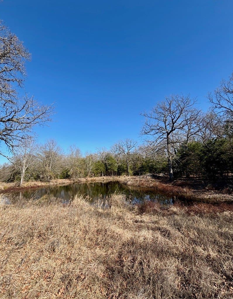 13.59 acres in Henderson County gallery image 3