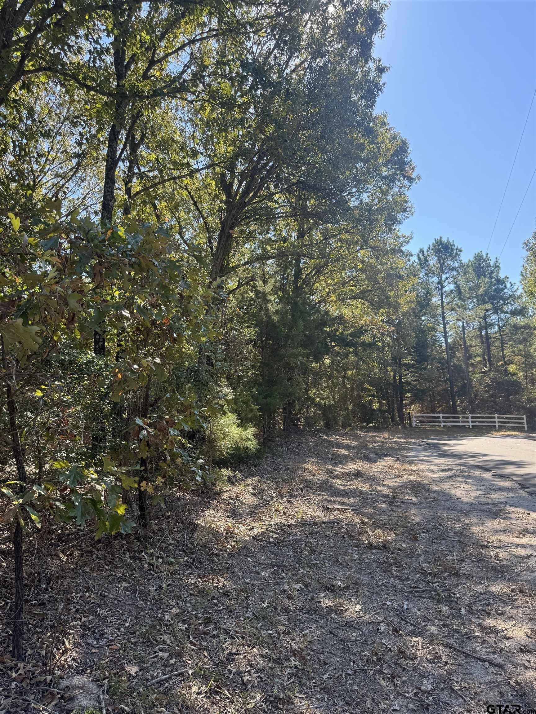 23.16 acres in Wood County gallery image 4