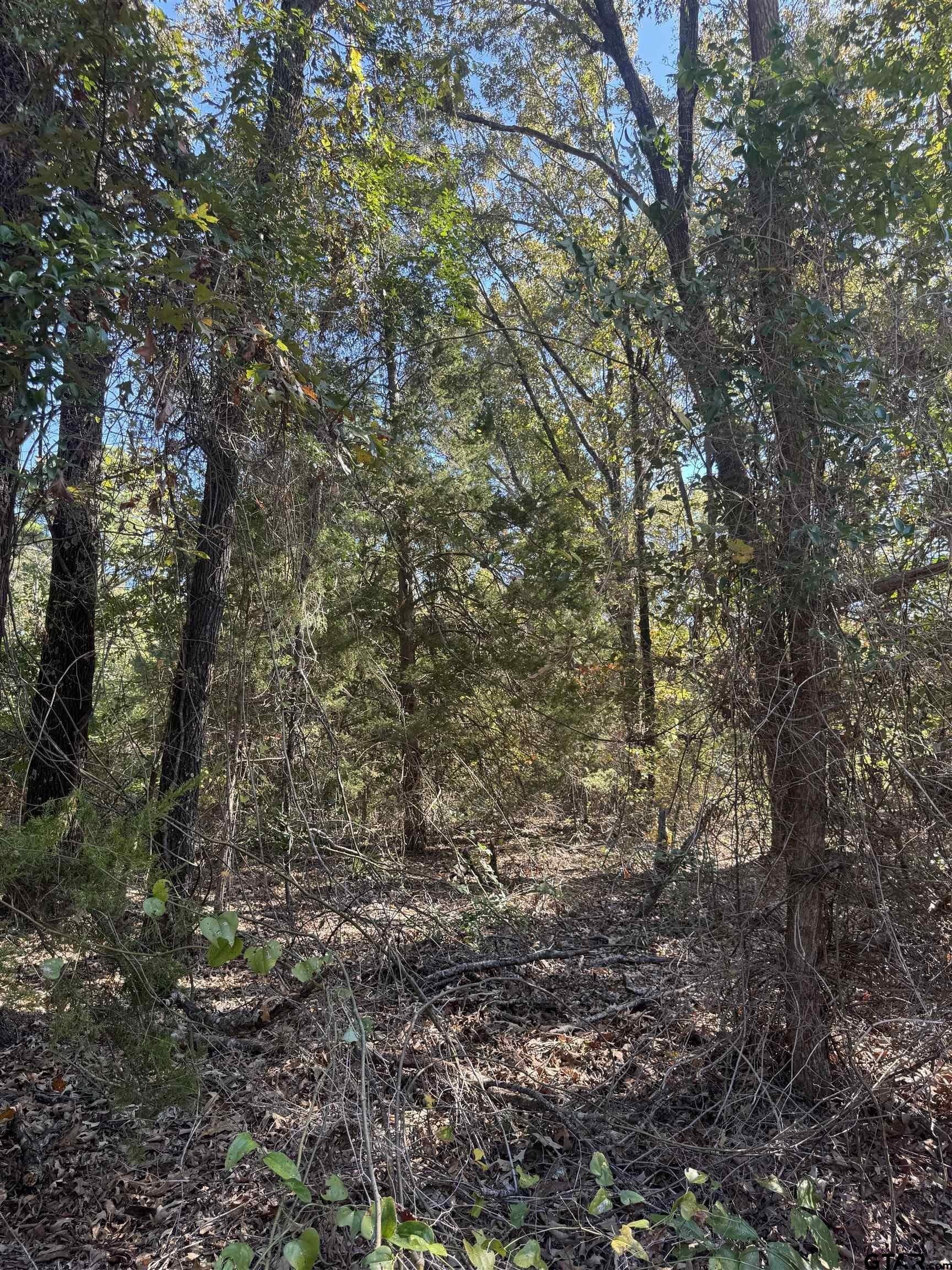 23.16 acres in Wood County featured view