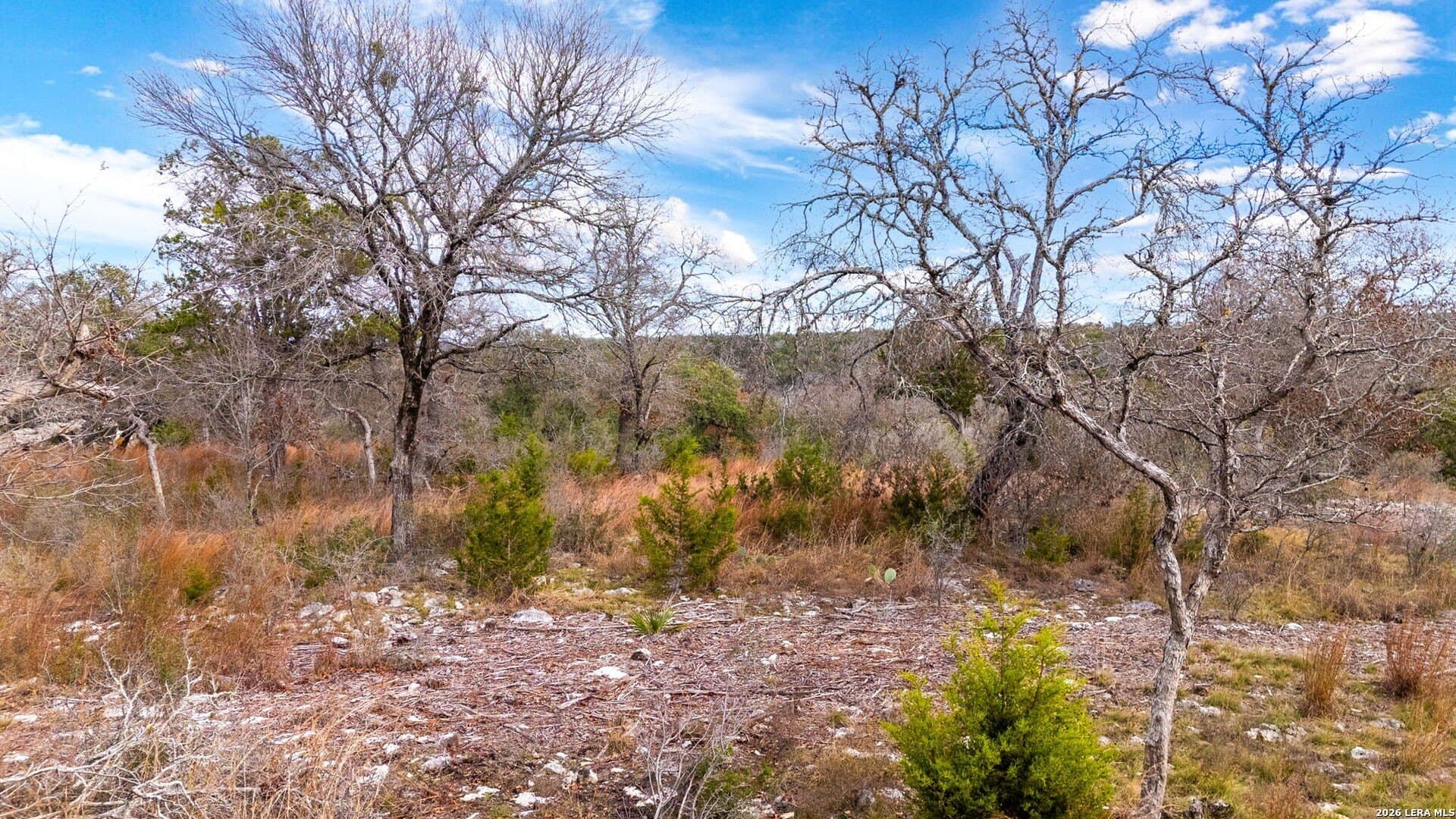 1.47 acres in Kendall County - photo 9