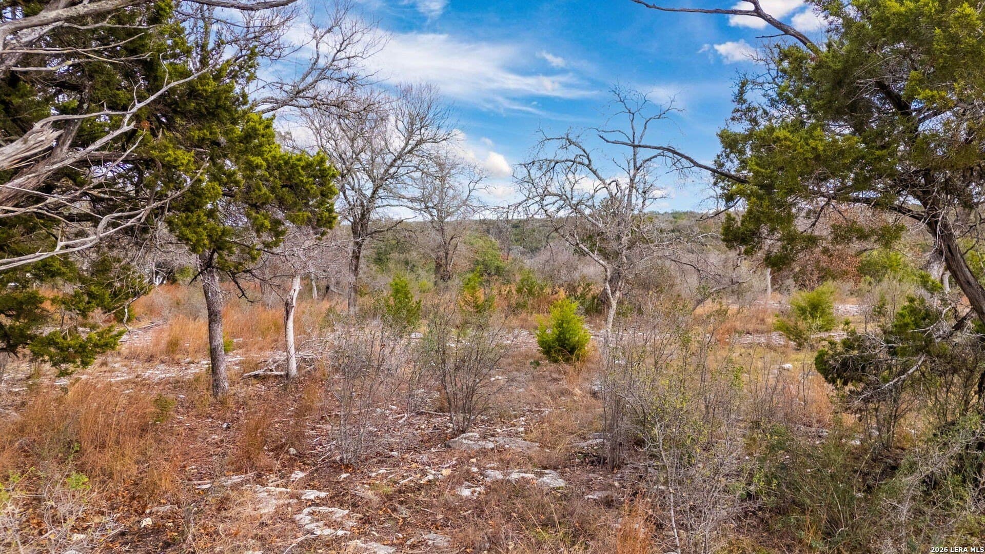 1.47 acres in Kendall County - photo 8