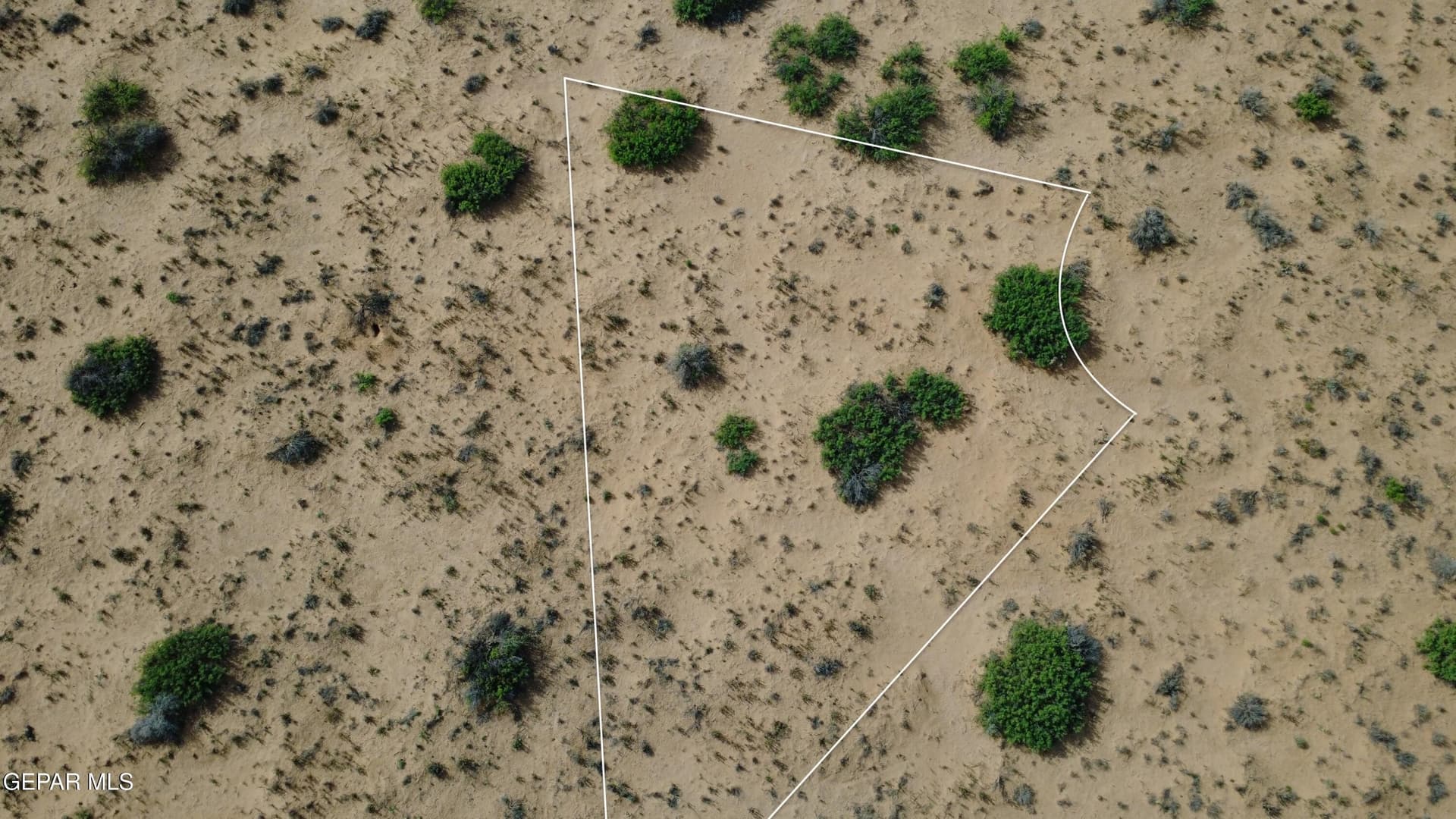 0.31 acres in El Paso County gallery image 3