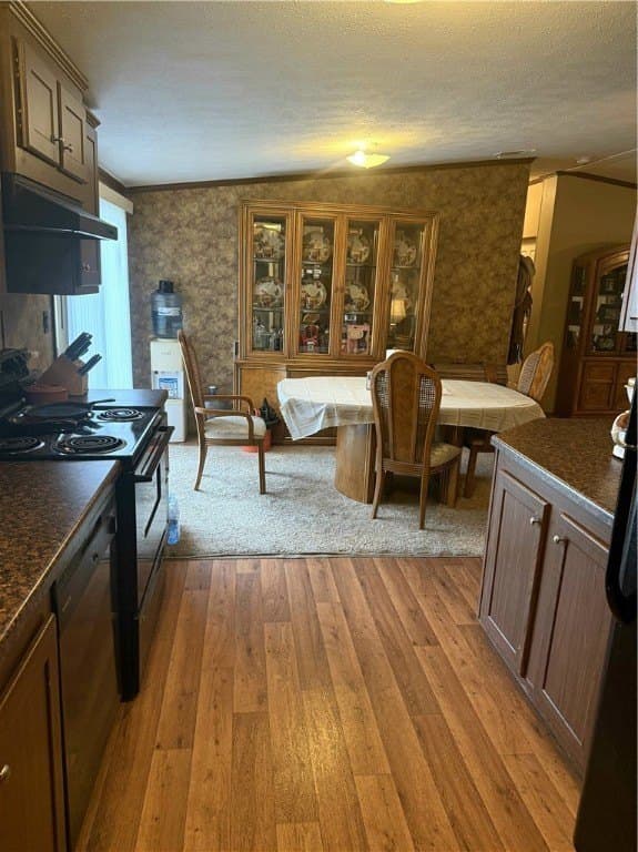 10.01 acres in Jim Wells County gallery image 3