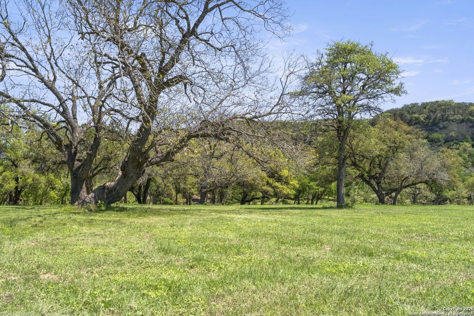 1.18 acres in Comal County - photo 8