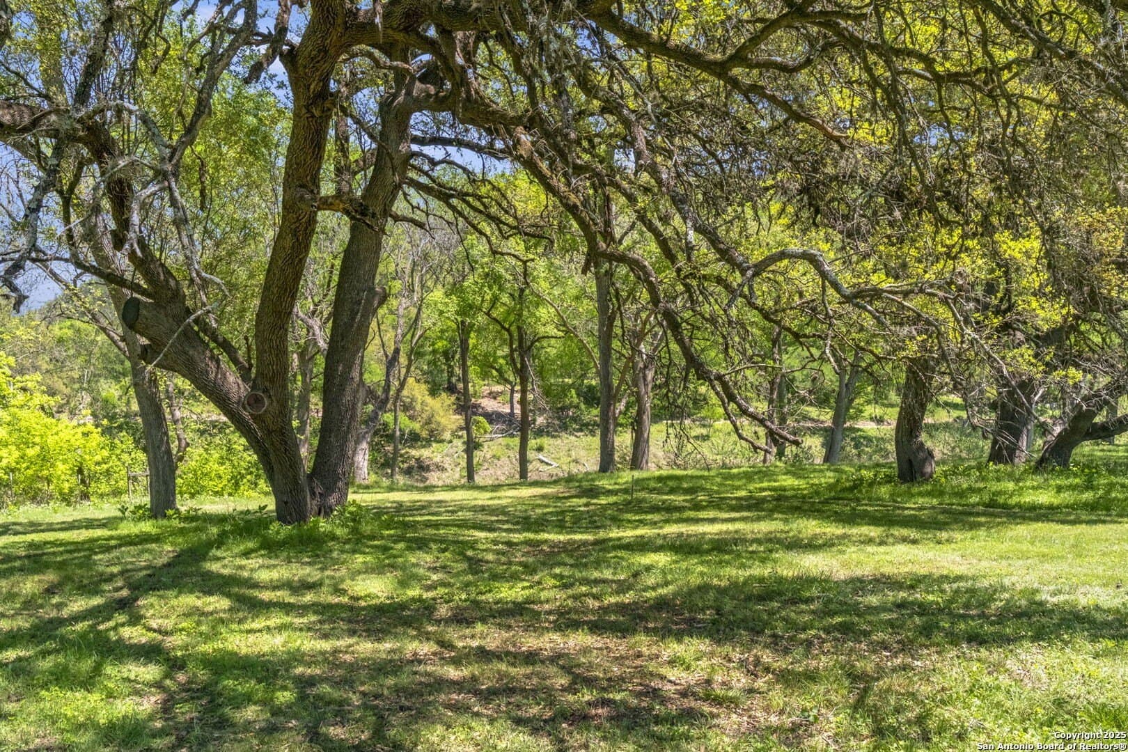 1.18 acres in Comal County - photo 12