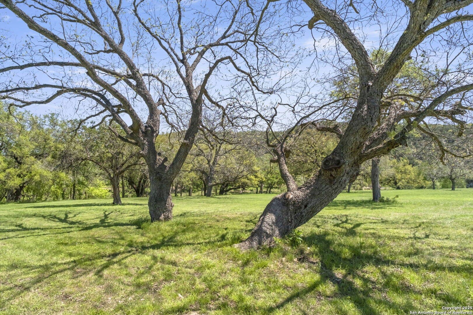 1.18 acres in Comal County - photo 9