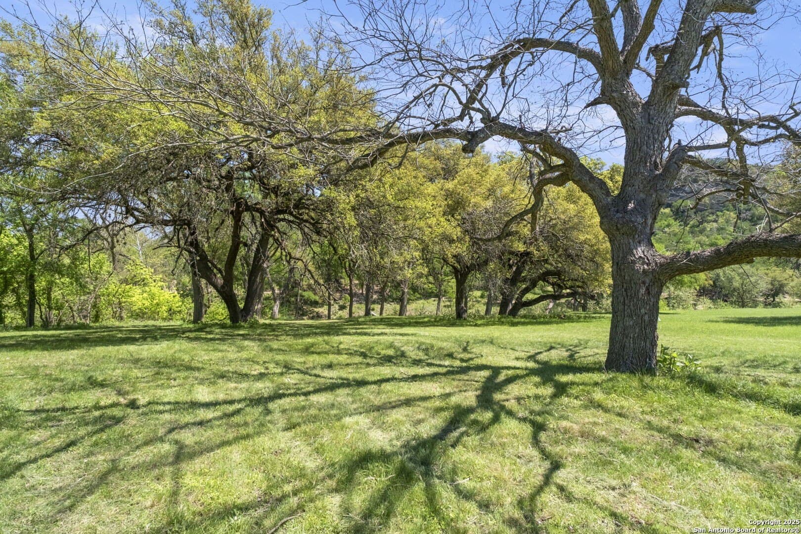 1.18 acres in Comal County - photo 11