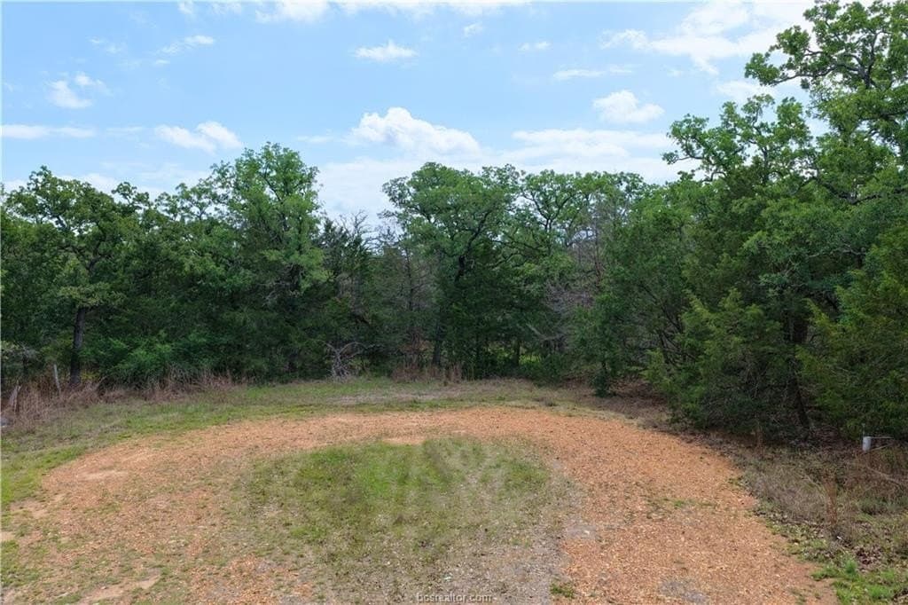 2.07 acres in Burleson County - photo 6
