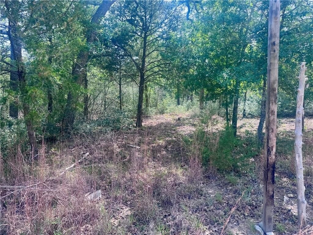 2.07 acres in Burleson County gallery image 4