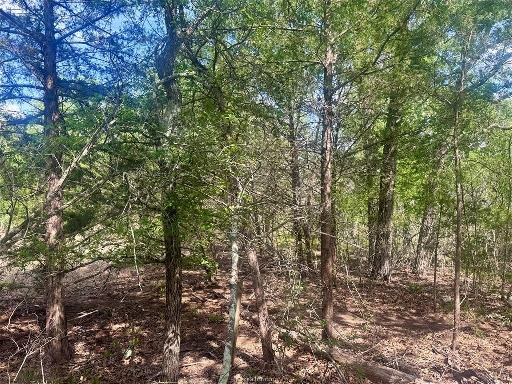 2.07 acres in Burleson County featured view