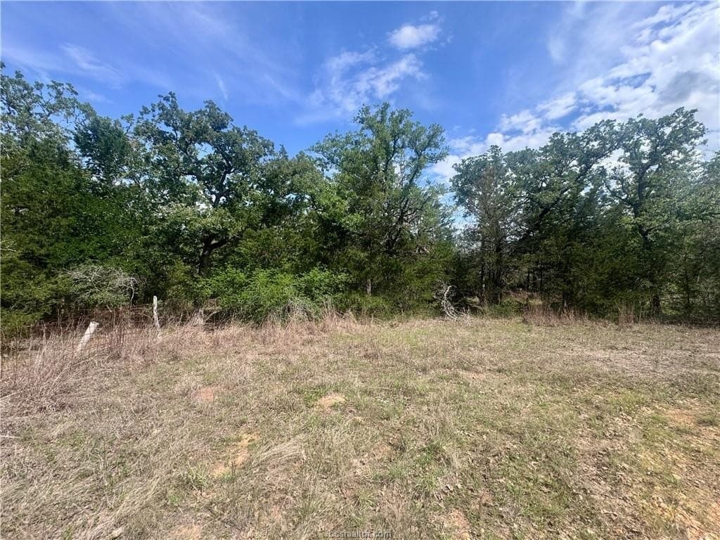 2.07 acres in Burleson County gallery image 2