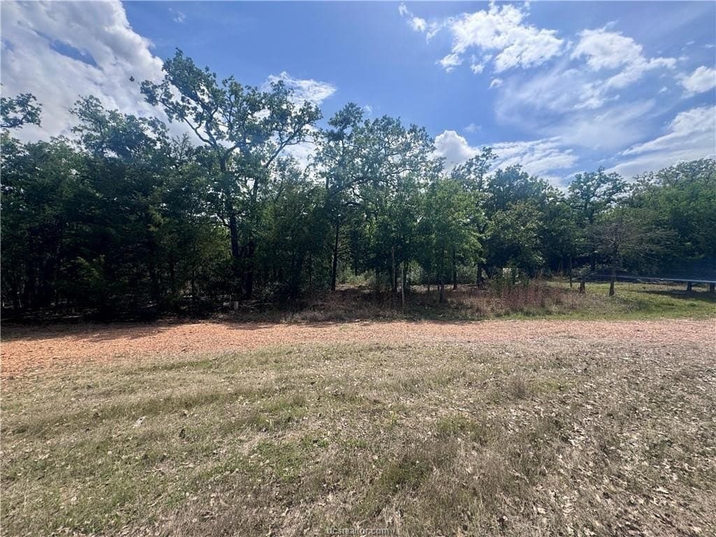 2.07 acres in Burleson County gallery image 3