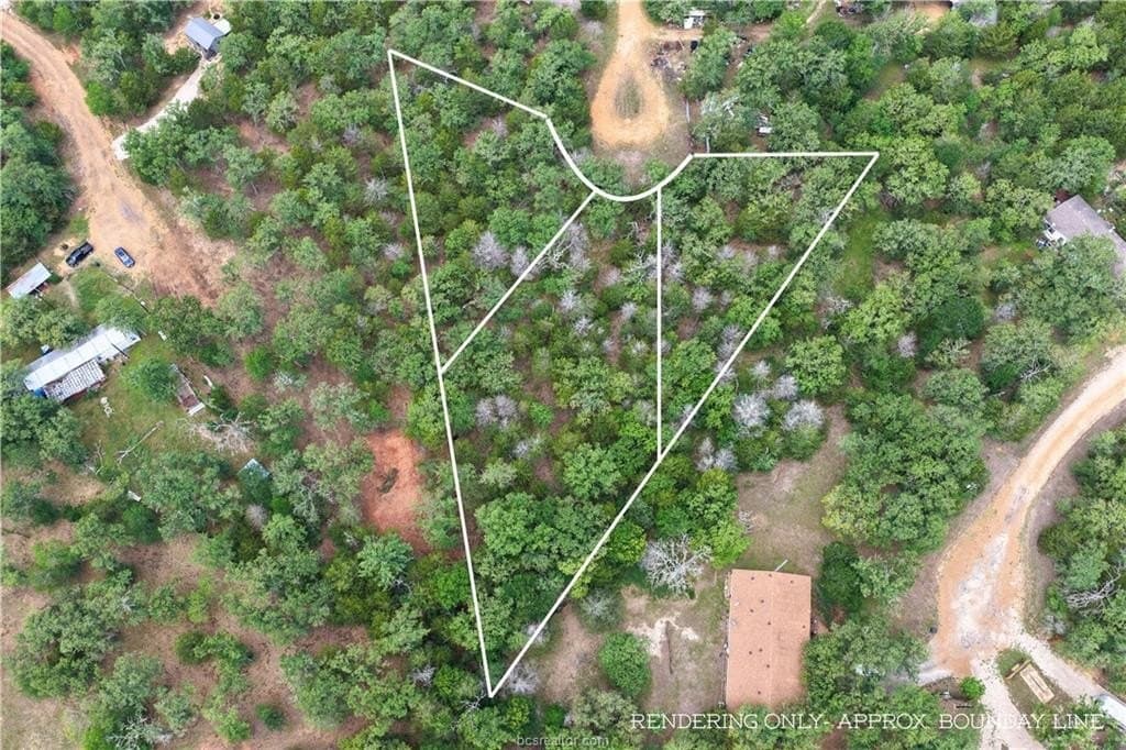2.07 acres in Burleson County gallery image 2