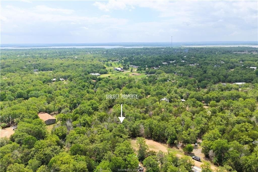 2.07 acres in Burleson County gallery image 3