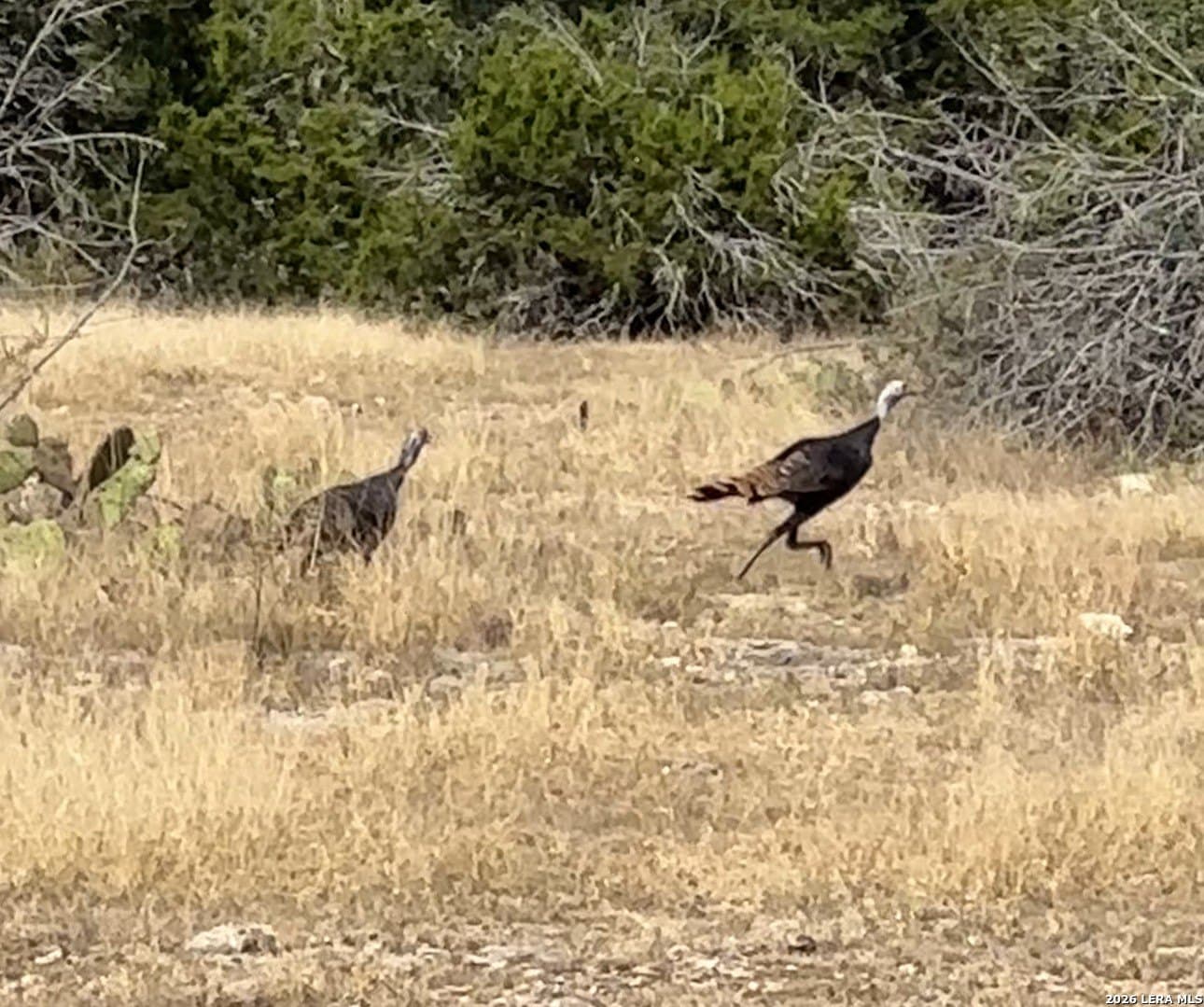 59.42 acres in Edwards County - photo 12