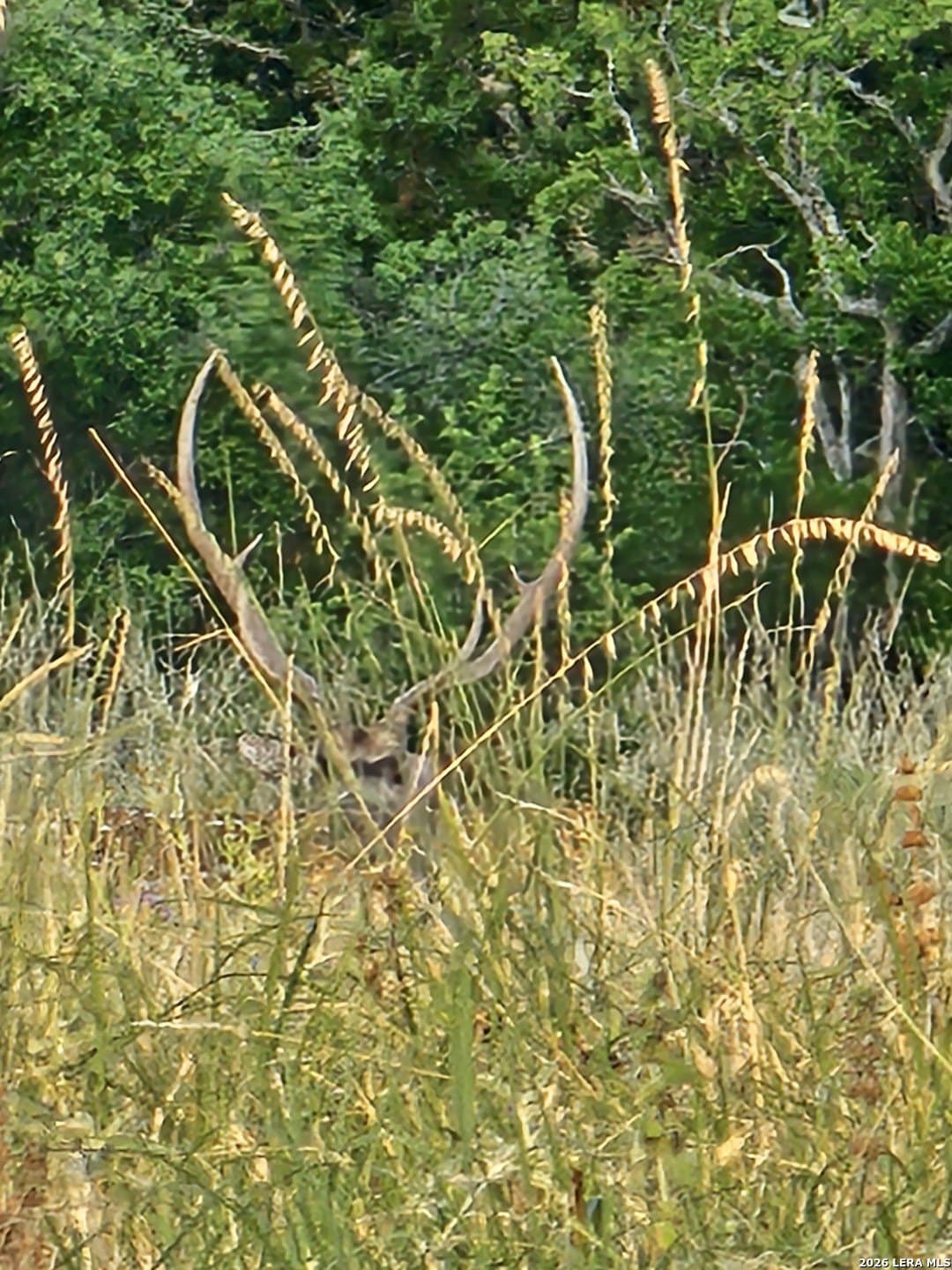 59.42 acres in Edwards County - photo 15