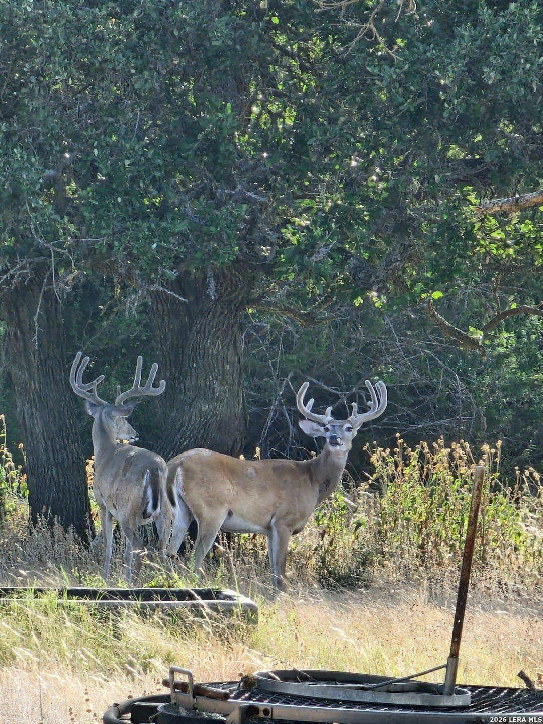 59.42 acres in Edwards County gallery image 3