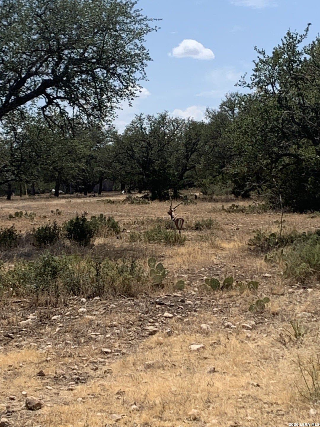 59.42 acres in Edwards County - photo 13