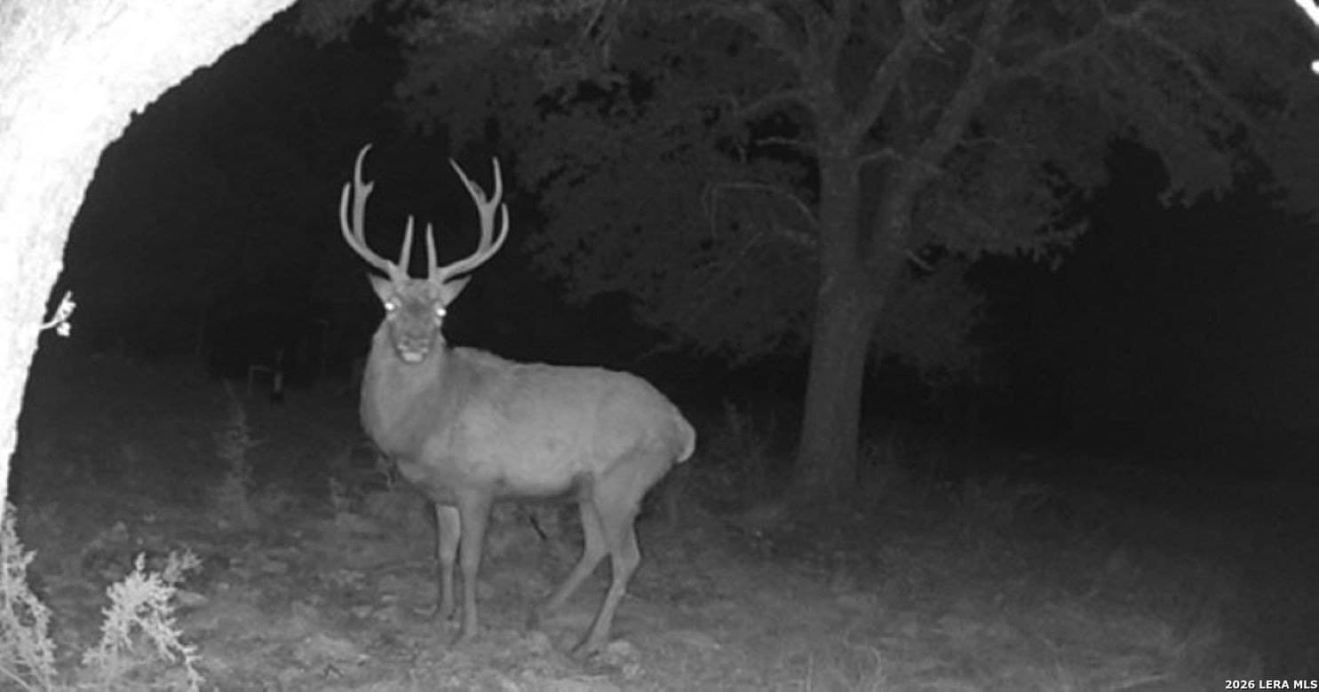 59.42 acres in Edwards County - photo 9
