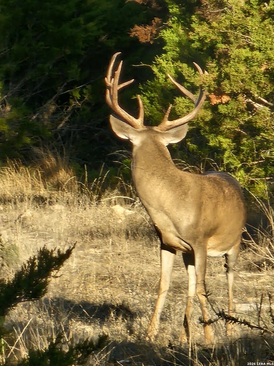 59.42 acres in Edwards County - photo 7