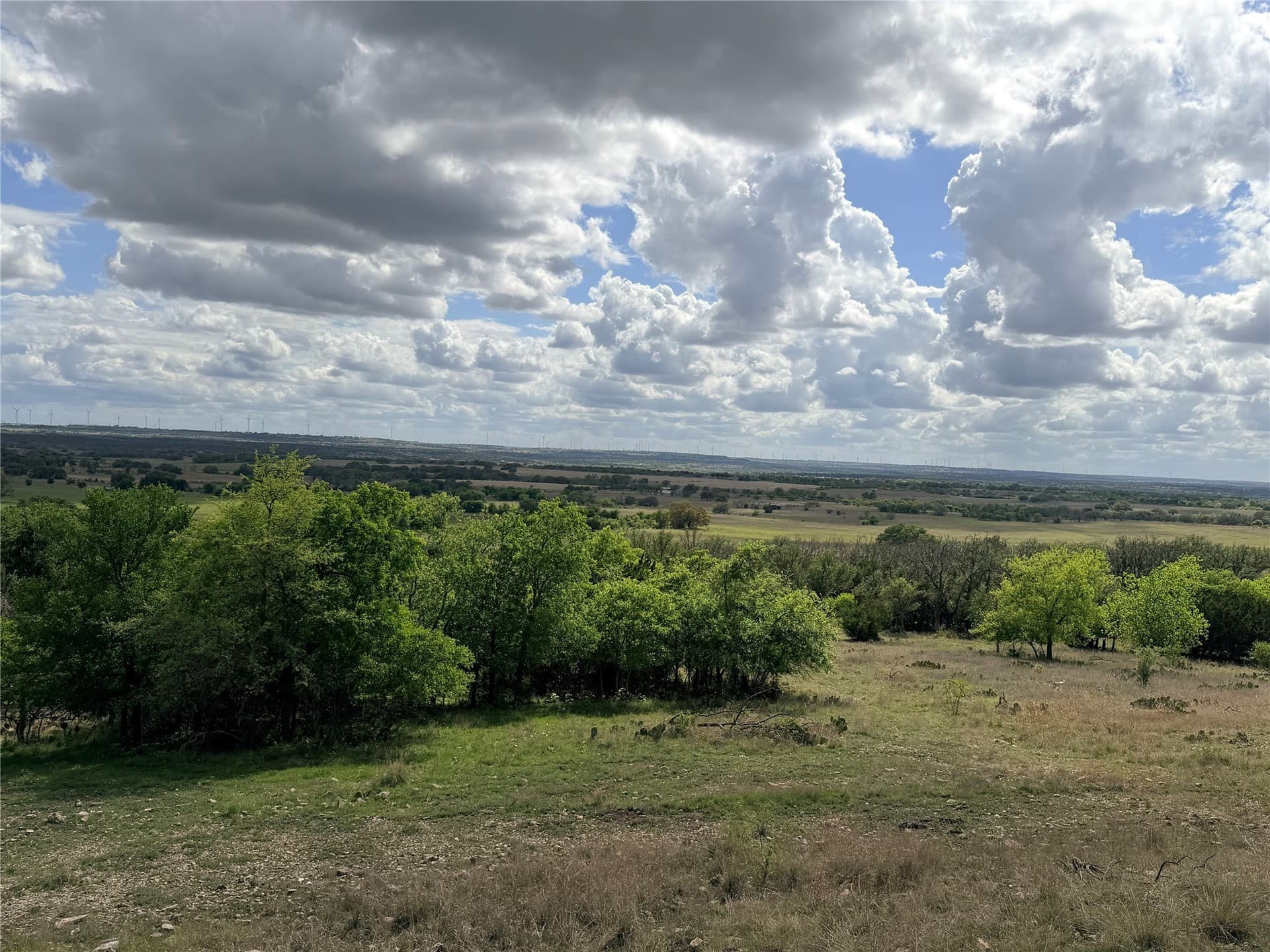 203 acres in Mills County - photo 6