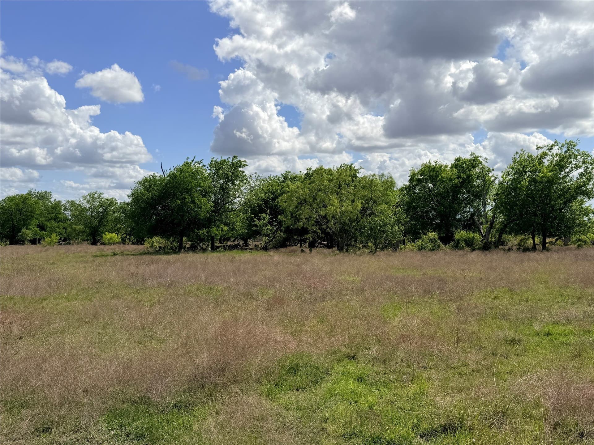 203 acres in Mills County - photo 19