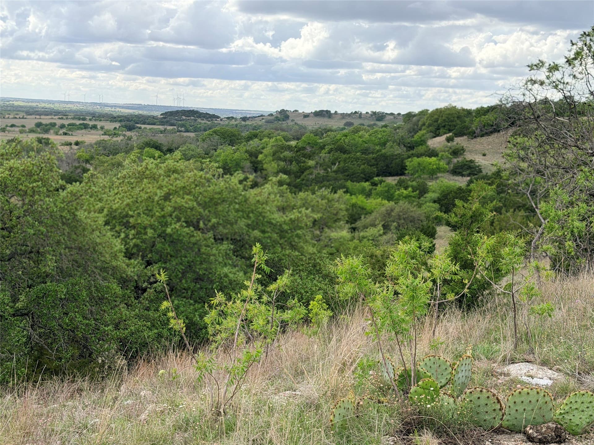203 acres in Mills County - photo 10