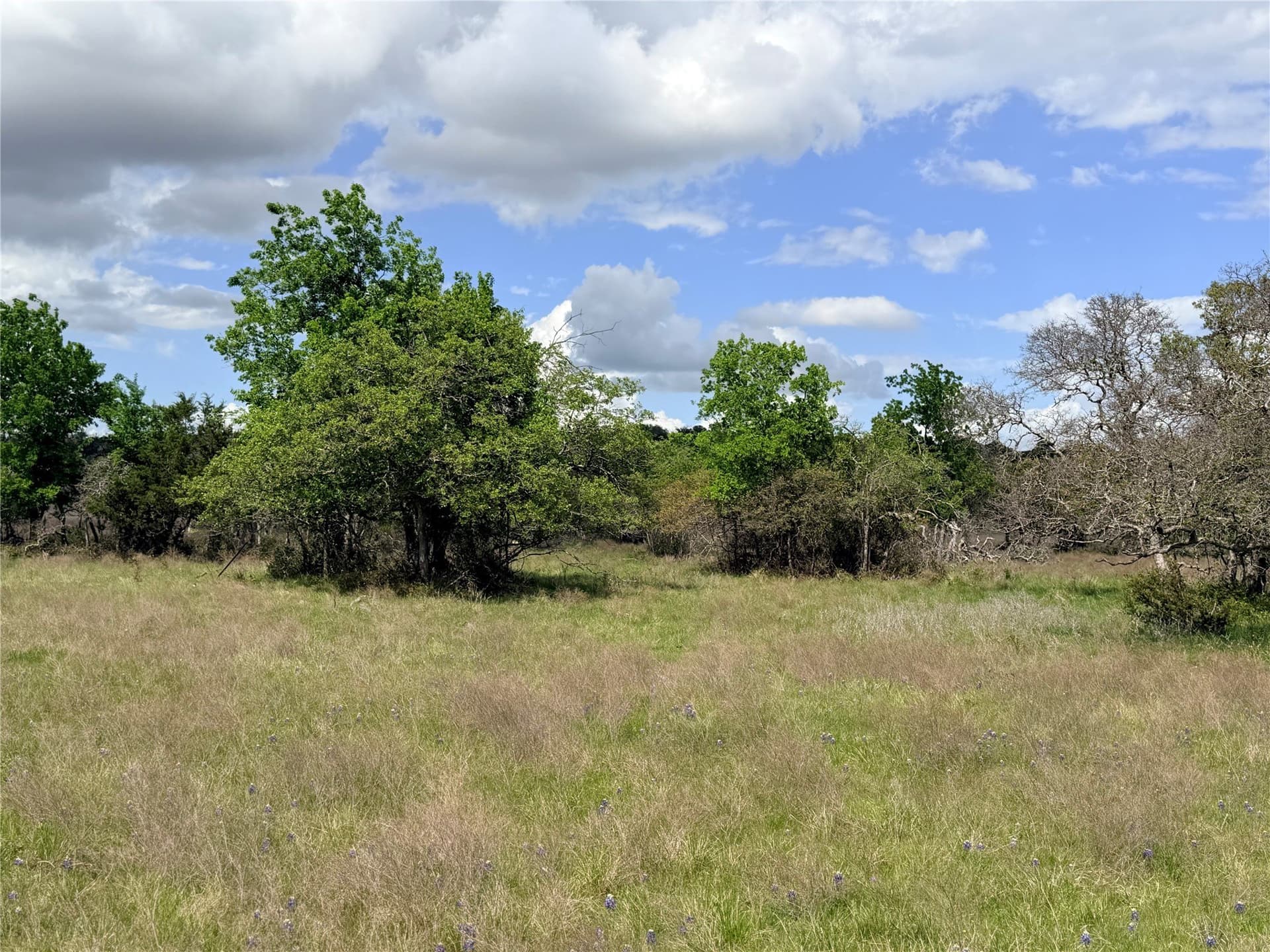 203 acres in Mills County - photo 20