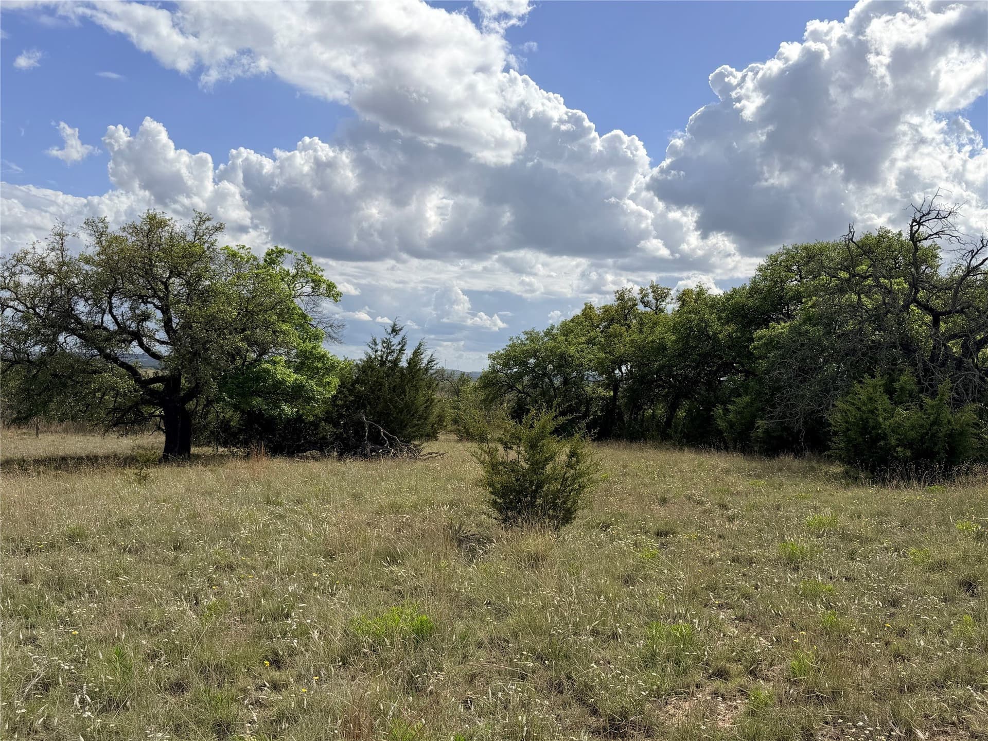 203 acres in Mills County - photo 9