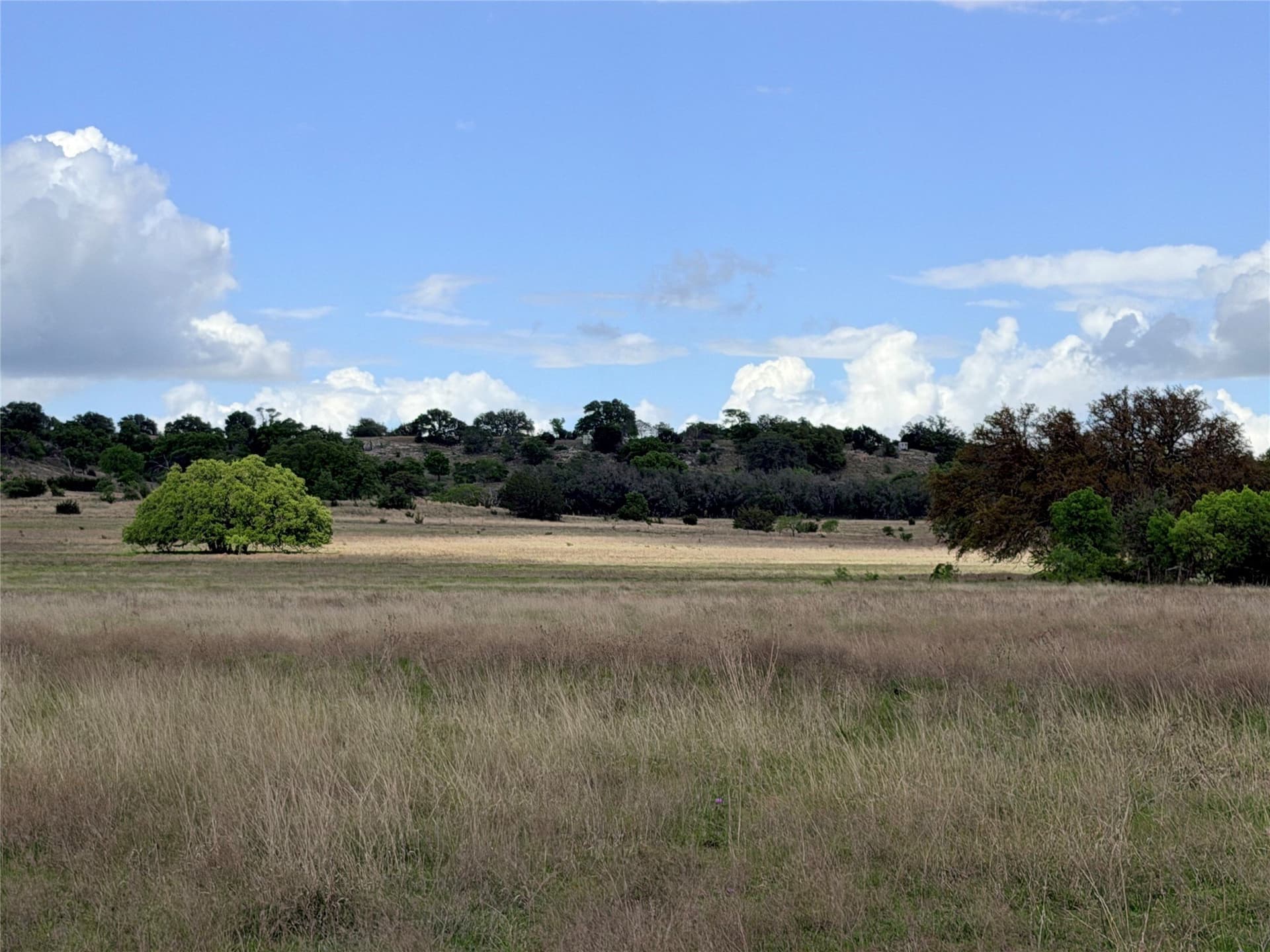 203 acres in Mills County - photo 16