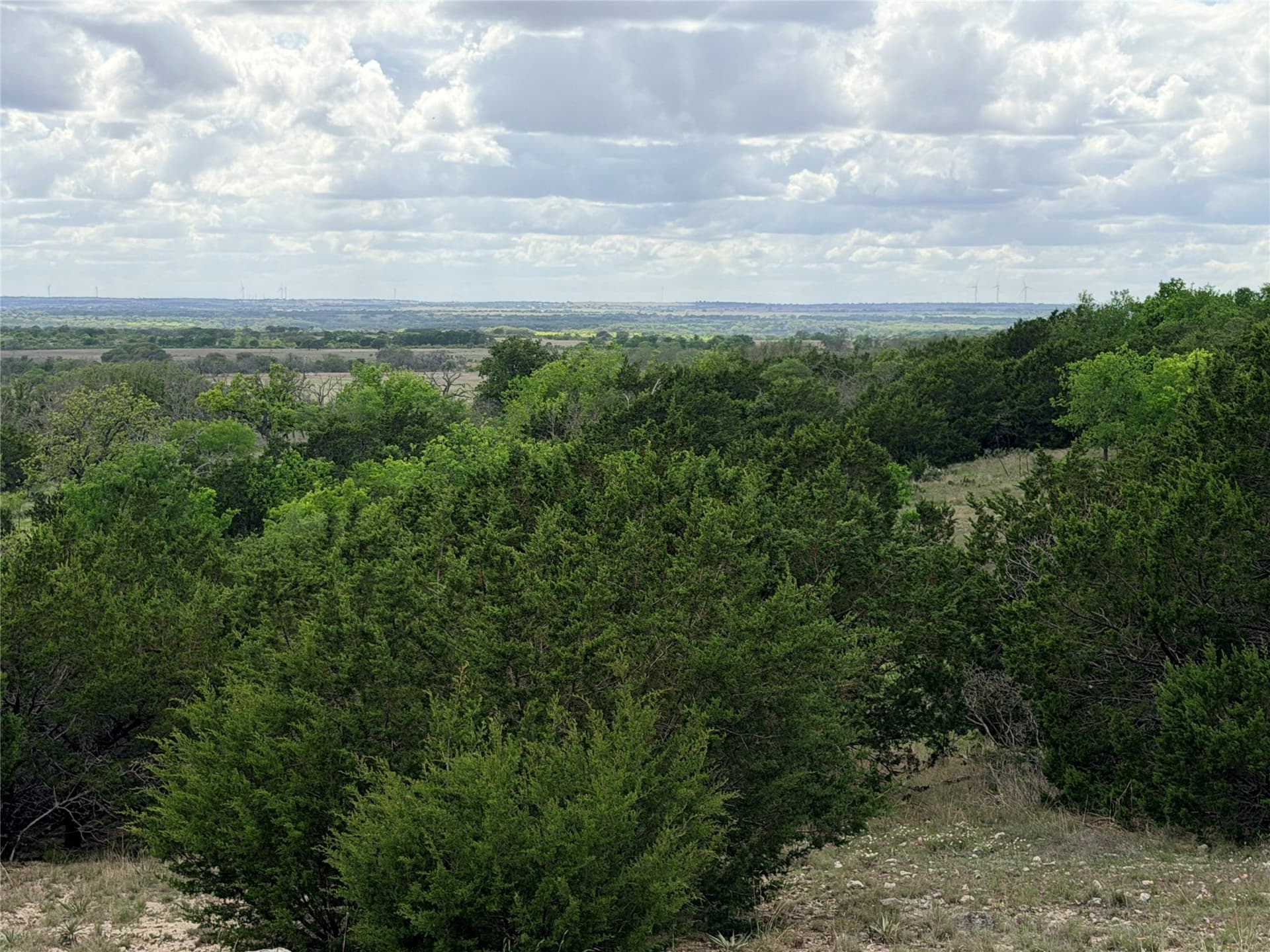 203 acres in Mills County - photo 7