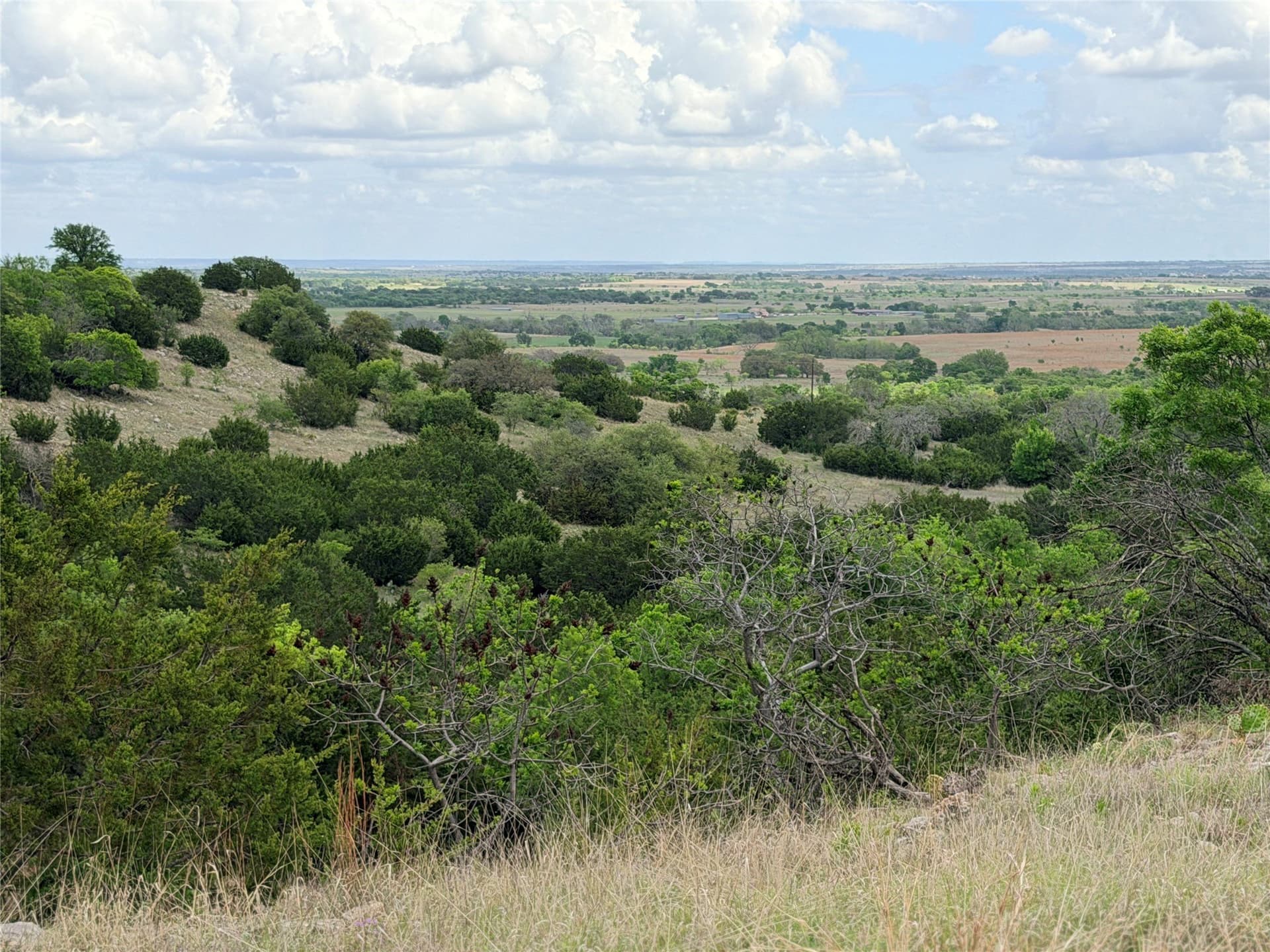 203 acres in Mills County