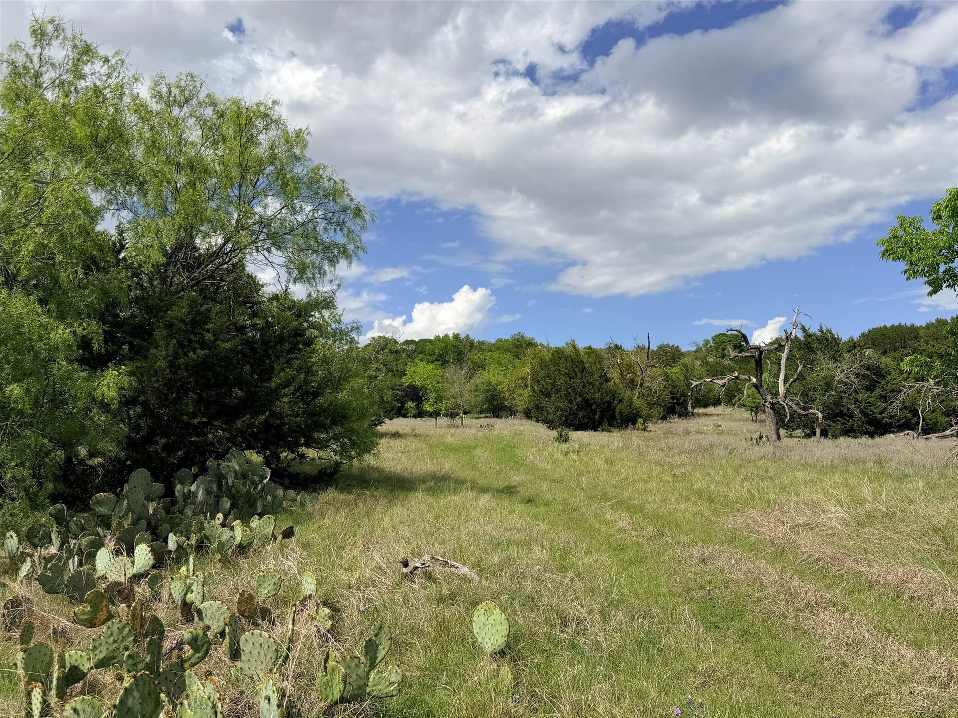 203 acres in Mills County - photo 4